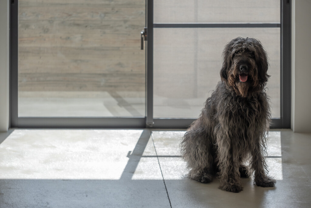 読谷村座喜味のアパートのリビング