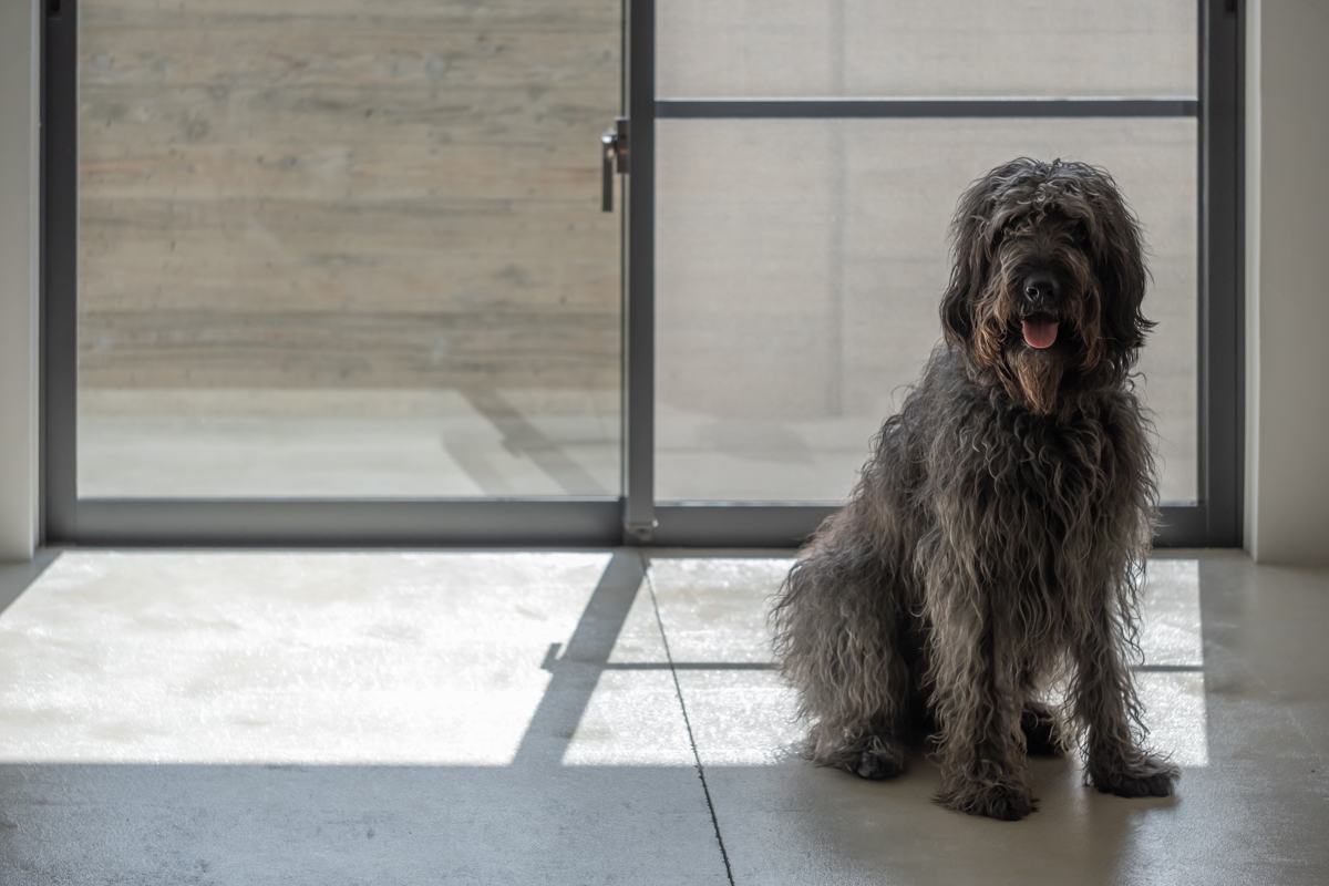 読谷村座喜味のアパートのリビング